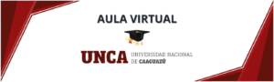 Aula Virtual Unca